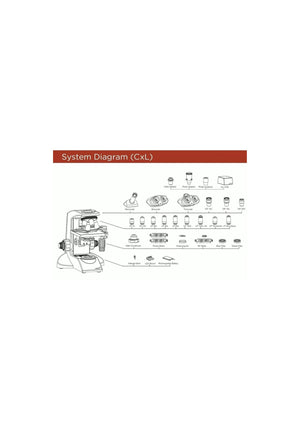 Microscopio Binocular Cxl Halogeno Labomed ID-2934610